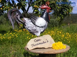 casa thocamalu's - Image 2