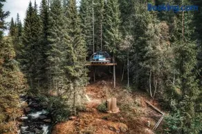 Treetop igloo by the river - Image 3