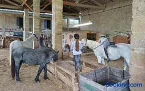 Mobilhome Ferme équestre La Mouillère - Image 2