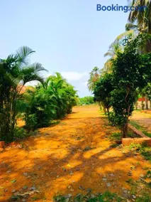 Mangrove Village Inn - Image 2