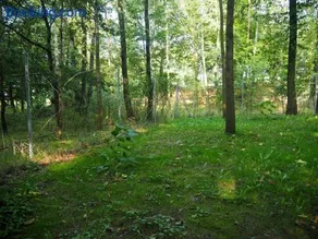 Ranczo w Dolinie Biskupice - Image 2