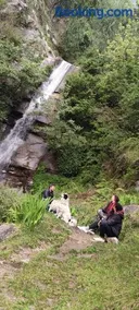 Pachamama Hotels- Vashisht - Image 2