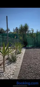 Oasis Pool in the Desert BBQ and Garden - Image 4