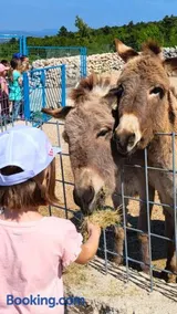 Villa Suzi - Family Farm Stay with Donkeys, Pool and Sea View near Rijeka - Image 1