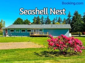 Sq Seashells Nest - Image 1