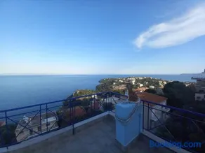The Big Blue - Image 3