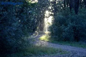 On Bell Glamping - Image 4