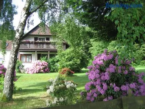 Haus am Wald - Urlaub am Nationalpark - Image 2