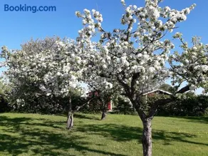 Mellomgården - Image 4
