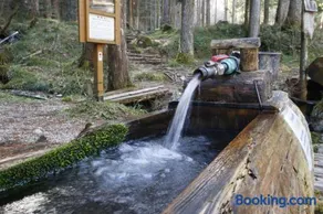 フォレスパ木曽 あてら温泉 阿寺荘 - Image 3