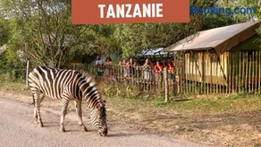 Séjour Insolite Safari Parc - Planète Sauvage - Image 2