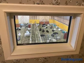 Newly built apartment next door to the sheep - Image 3