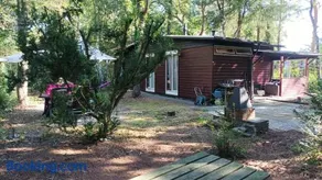 Bosbungalow de Eekhoorn - Image 5