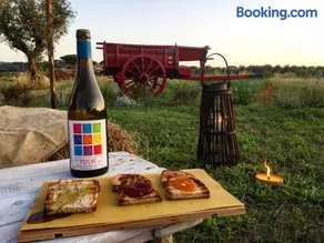 Agriturismo Quattro Pini - Image 2