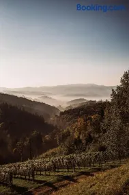 Weingut Kollerhof am Eichberg - Image 4