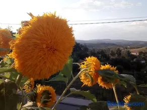 Casa Rural Mimbrero - Image 1