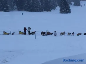 Malga Millegrobbe Nordic Resort - Image 3