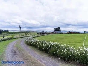 Gillys Accommodation - Image 4