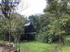 Finca MamaChakra - Cabañas - Camping - Image 4