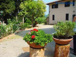 Fattoria Casanova - Image 3