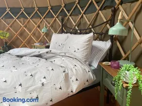 Thistlebank Yurt - Image 1