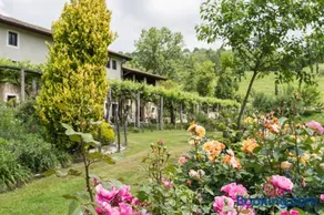 La Faula - Image 3