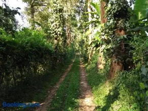 Coorg 4 C's Little Paradise - Image 2