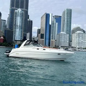 Party On The Seas - Image 4