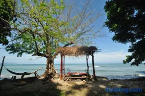 Howler Monkey Hotel - Image 4