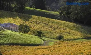 Adelaide Hills luxe-cottage with spectacular vineyard views - Image 3
