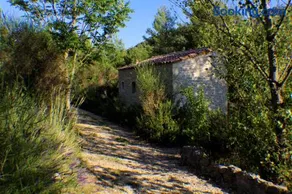 Domaine de bois joli - Image 2