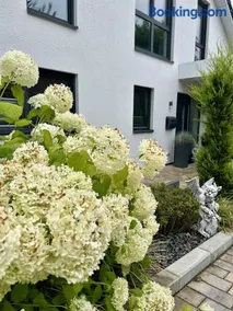 Moderne 1-Zimmer-Gästewohnung im Neubau mit schönem Garten - Image 2