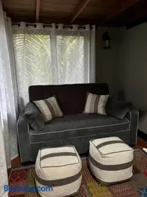 Enchanted Jungle Treehouse - Image 2
