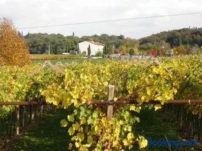 Agriturismo Le Caldane - Image 4