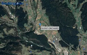 Silent Orchard - Image 1