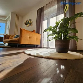 Ferienwohnung Blick ins Grüne - Image 3
