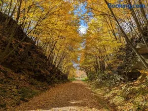 Stay In Ohiopyle in the middle of town by the GAP trail - Image 5