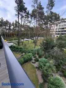 Campo | Your Retreat at Shellter Rogowo - Image 2