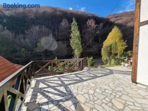 APARTMAN NA STAZI - Bela Reka, Kopaonik - Image 2