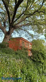 B&B Kikina - Image 1