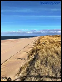 Sylt-Sonne-Meer - Image 1