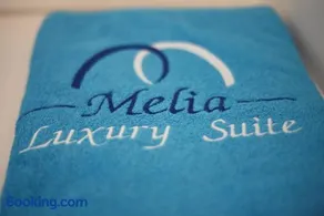 Melia Luxury Suite with pool - Image 2