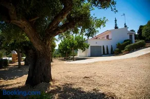 La Casa del Monte - Image 1