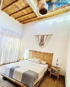 IGUANA HOUSE - Image 2