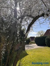 Harmonie im Grünen-Erdgeschoss-Ferienwohnung mit eigenem Eingang und direktem Gartenzugang - Image 2
