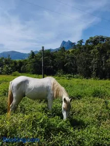 Encanto da Pedra - Image 3