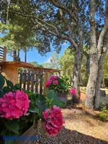 Domaine Authentique de Rose - Image 1