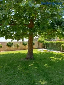 Maria apartment - Image 5