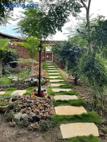 THE Quail - Image 4