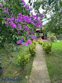 BEKTAŞ TATİL EVi - Image 1